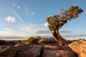 Dead Horse Point, Dead Horse Point State Park, Utah