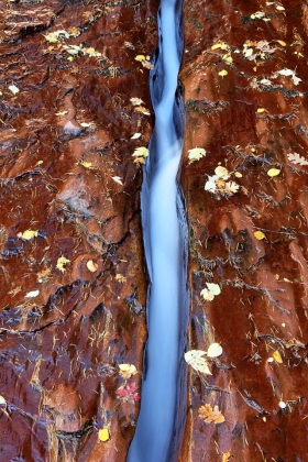 The Subway, Zion National Park, Utah