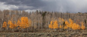 Mirror Lake Scenic Byway, Uinta-Wasatch-Cache National Forest, Utah