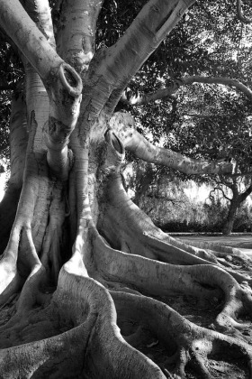 Rancho Los Alamitos, Long Beach, California