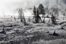 Rabbit Creek, Yellowstone National Park, Wyoming