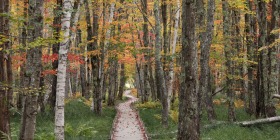 Jesup Path, Acadia National Park, Maine