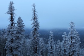 Sherman Pass, Sequoia National Forest, California