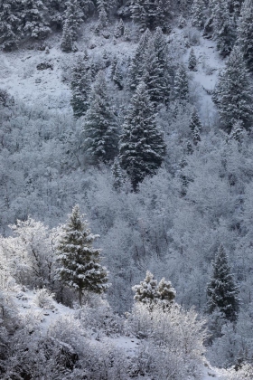 Provo Canyon, Utah