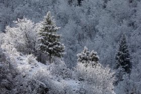 Provo Canyon, Utah
