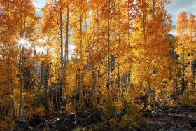 Along Highway 550, Colorado