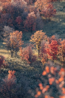 Along Trapper's Loop Road, Huntsville, Utah