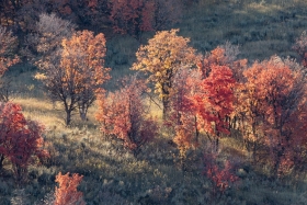 Along Trapper's Loop Road, Huntsville, Utah