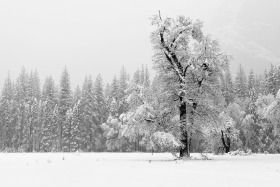 Yosemite Valley, Yosemite National Park, California