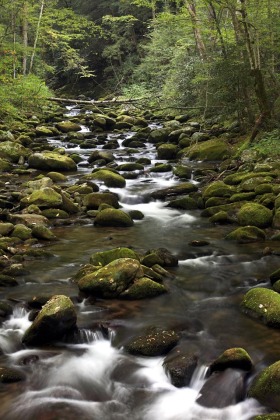 Roaring Fork River, Great Smoky Mountains National Park, Tennessee