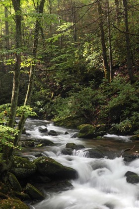 Roaring Fork River, Great Smoky Mountains National Park, Tennessee