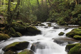 Roaring Fork River, Great Smoky Mountains National Park, Tennessee