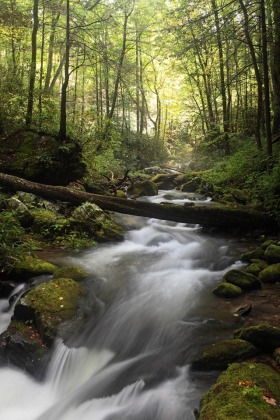 Roaring Fork River, Great Smoky Mountains National Park, Tennessee