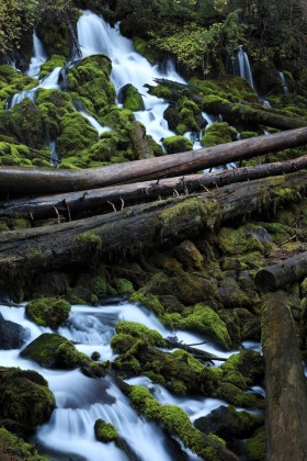 Clearwater Falls, Upqua National Forest, Oregon